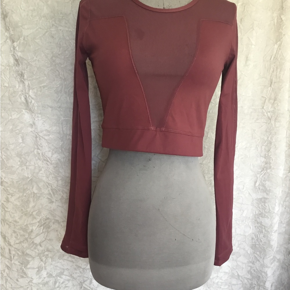 Rose/Berry Mesh Panel Long Sleeve Crop Top